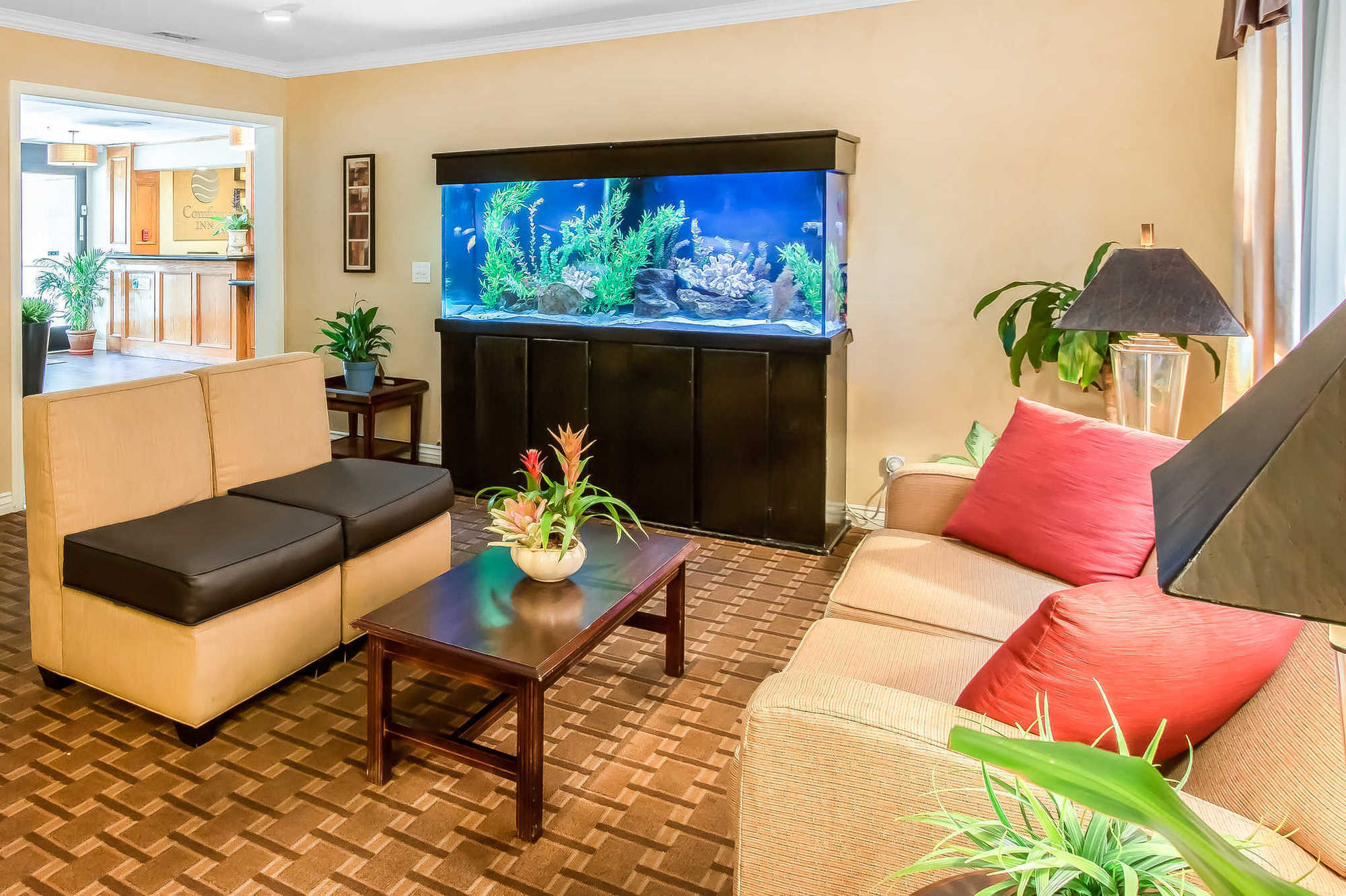 Comfort Inn Gaslamp Convention Center Σαν Ντιέγκο Εσωτερικό φωτογραφία