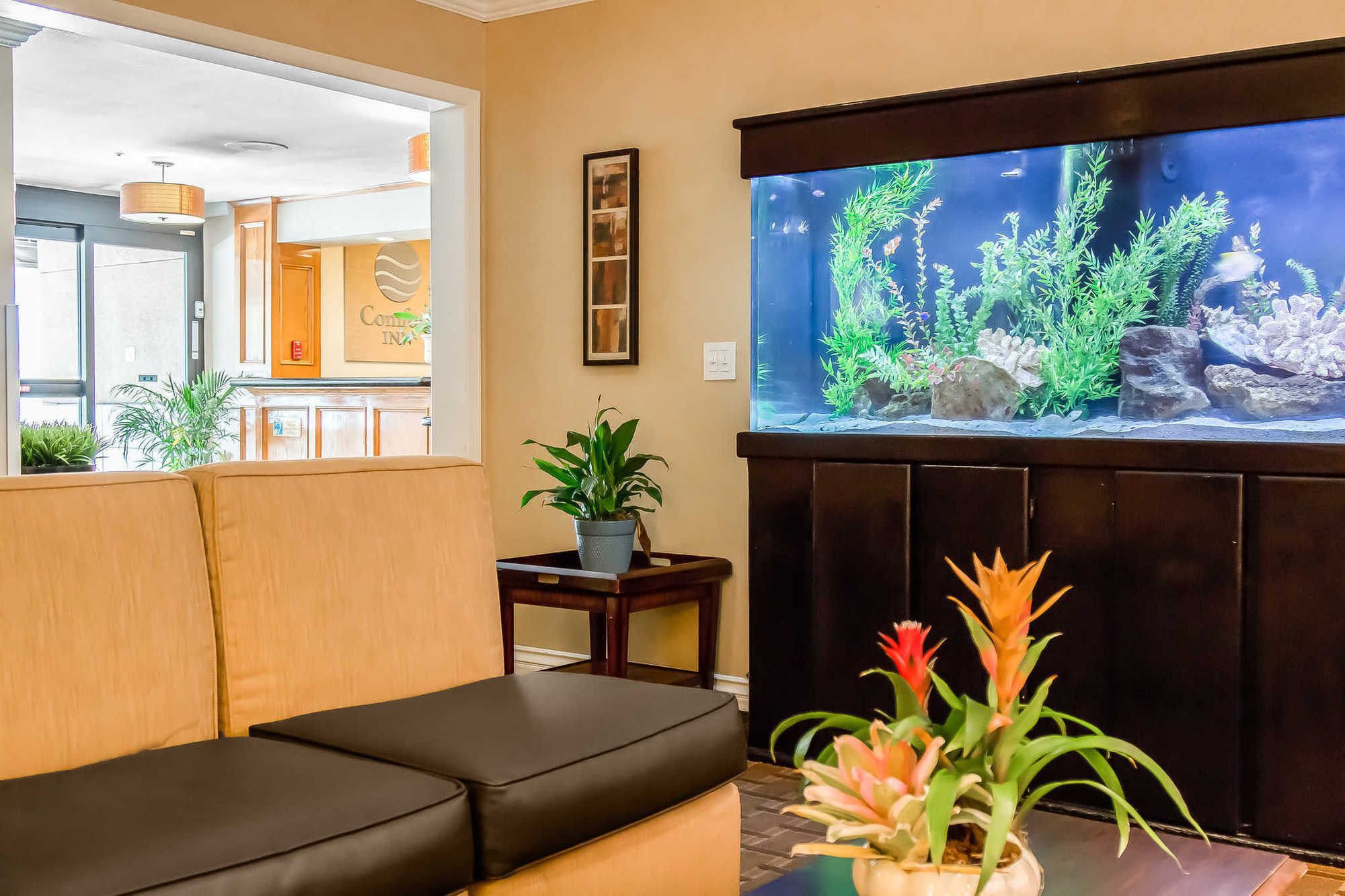 Comfort Inn Gaslamp Convention Center Σαν Ντιέγκο Εσωτερικό φωτογραφία